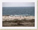 img_0307 * 2816 x 2112 * (1.32MB)